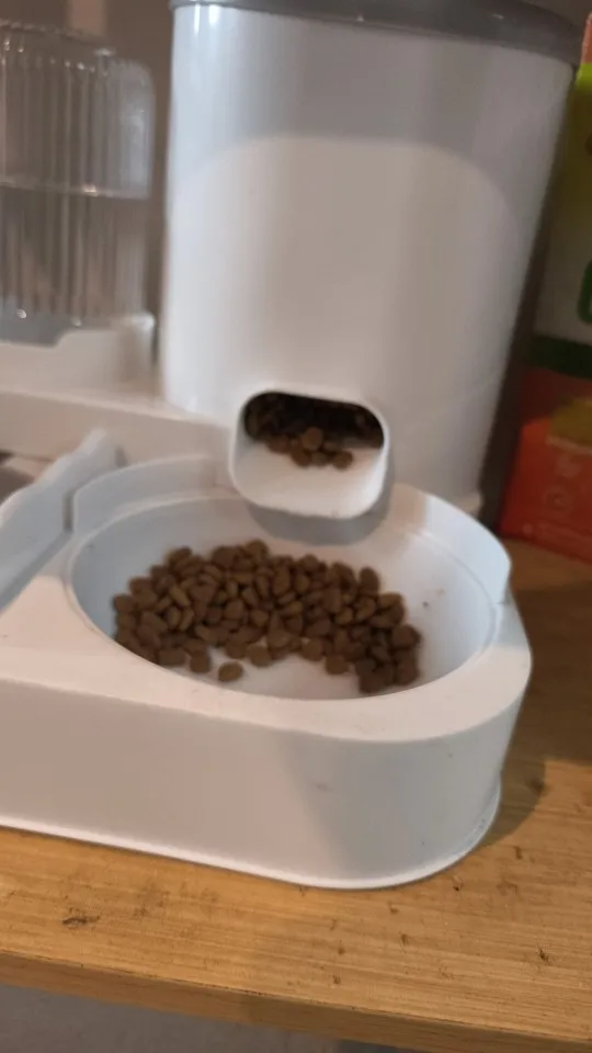 Customer review photo for Dual-Bowl Automatic Cat Feeder for Two Pets