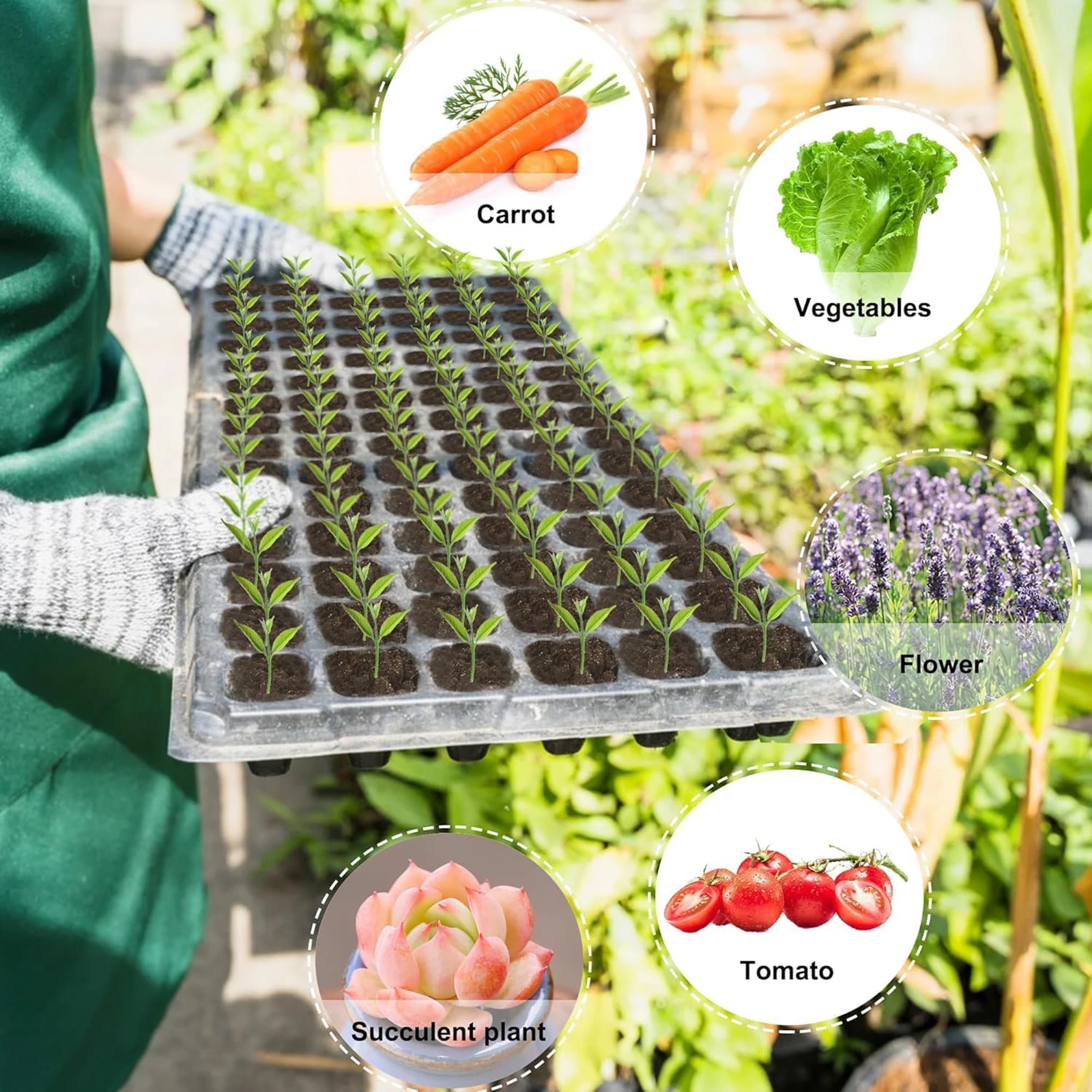 12pcs Nursery Seedling Trays with Cells Reusable Plant Germination Starter Trays for Indoor Gardening Microgreens Propagation