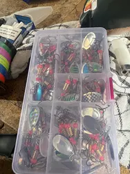 Imagen de reseña 1