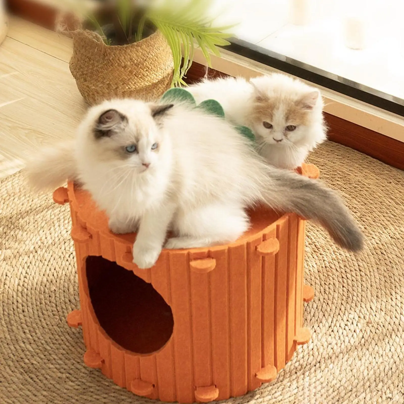 #23 Latest Enclosed Cat Cave Beds Offers