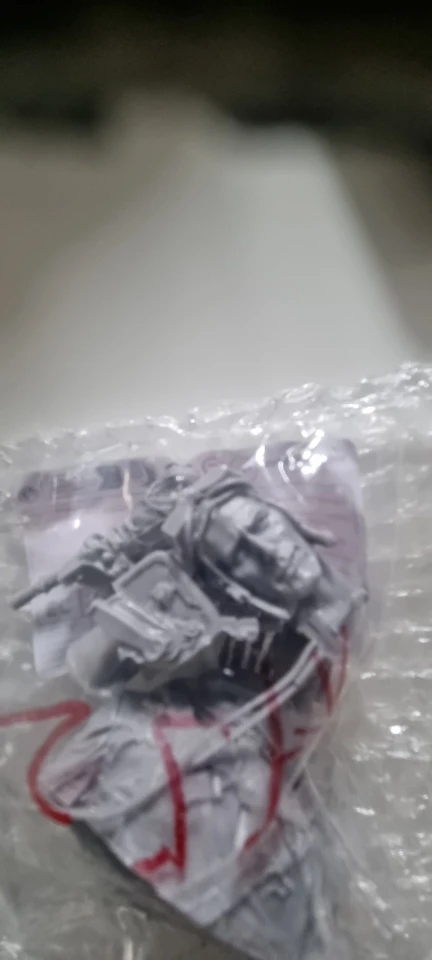 Buyer photo of this resin kit