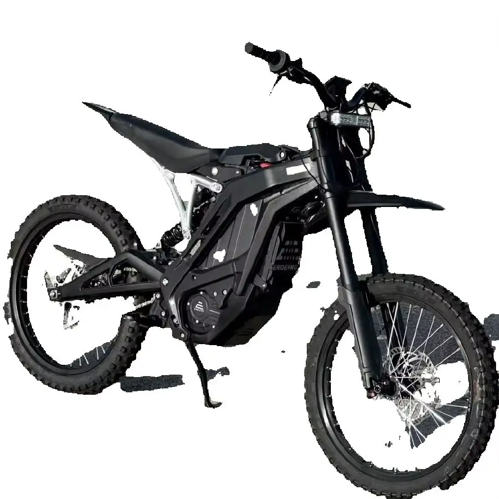 Быстрая продажа 2024 E Ride Pro SS 2