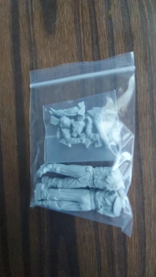 Buyer photo of this resin kit