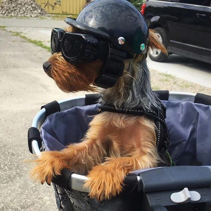 AliExpress Pet Helmets Dog Cat Bicycle Motorcycle Helmet with Sunglasses Safety Doggie Hat for Traveling Head Protection Pet Supplies S / M