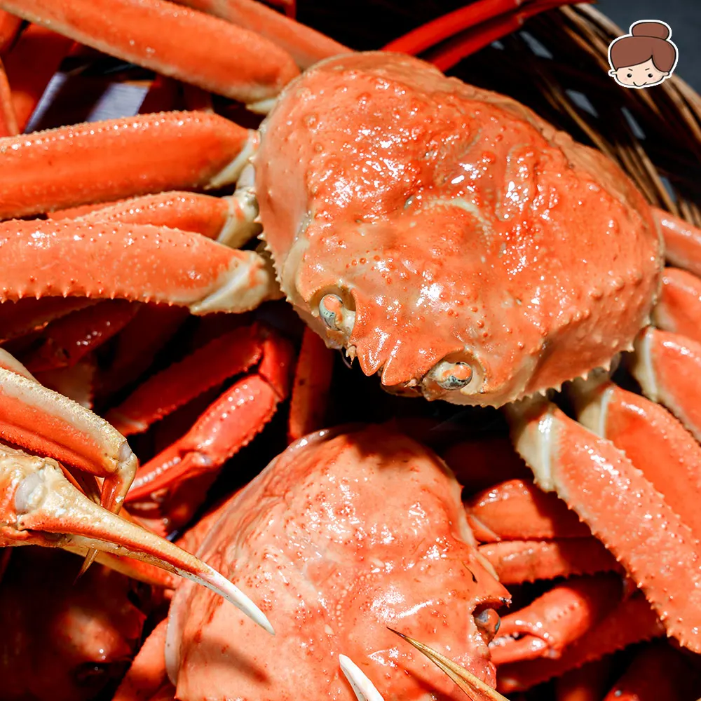 건어물녀 A급 활 선어 자숙 러시아 대게 3kg 매주 목,금요일 출고