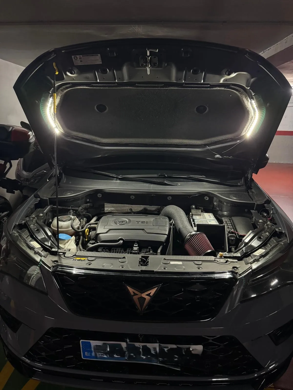 Engine Under Hood LED Lights photo review