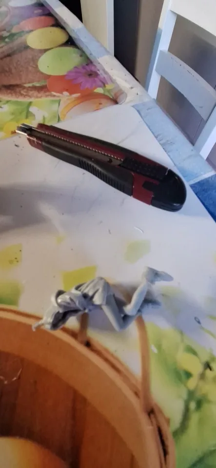 Buyer photo of this resin kit