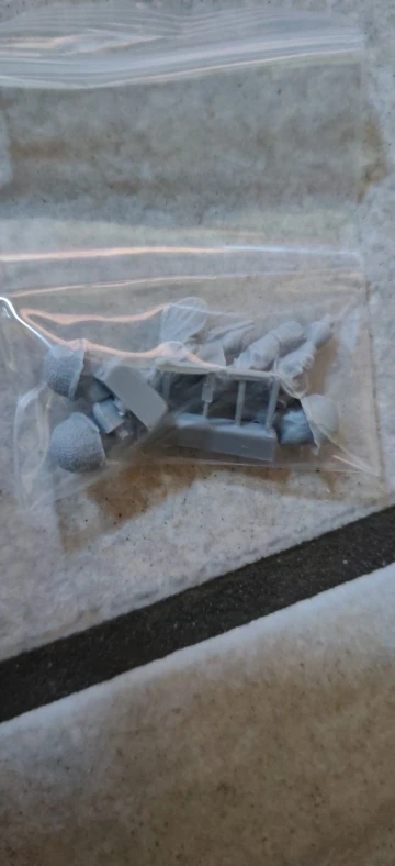 Buyer photo of this resin kit
