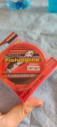 Imagen de reseña 1