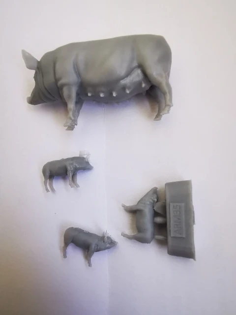 Buyer photo of this resin kit