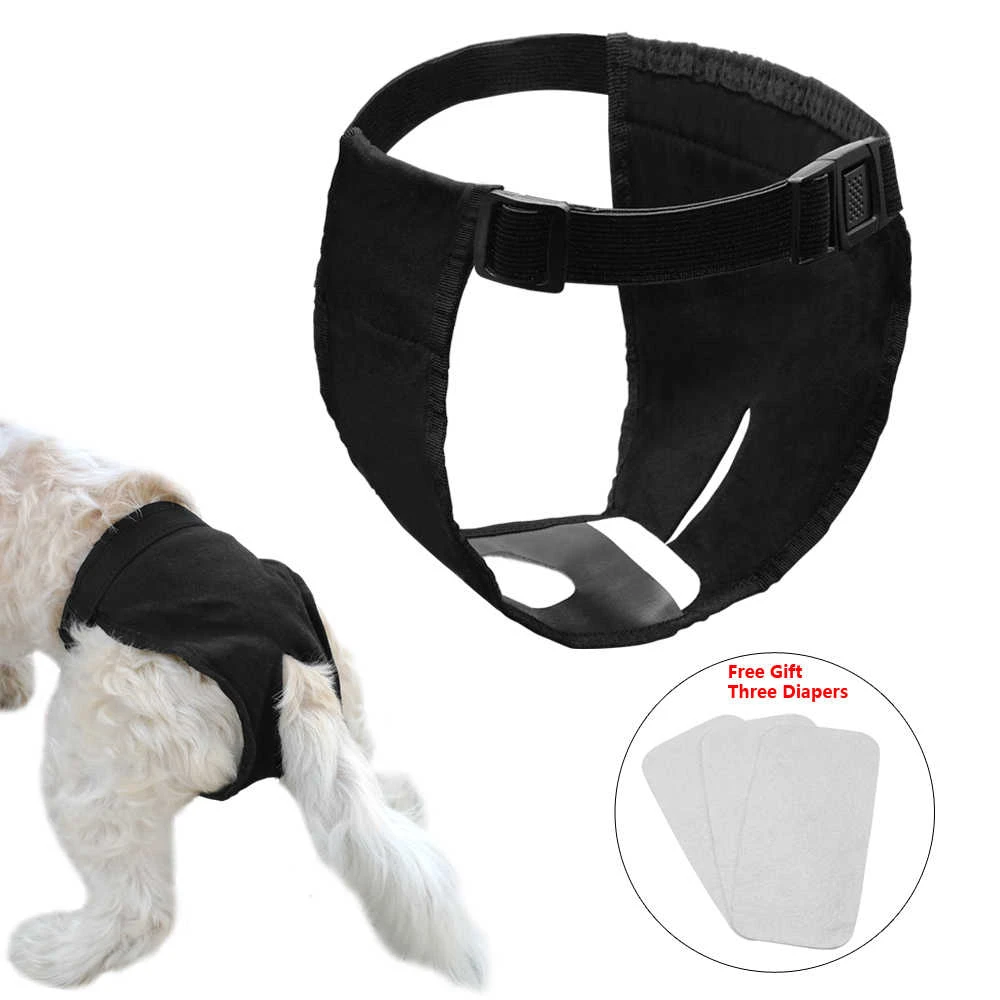 בולםסטיק – פתרון מושלם לבעיה של חיות מחמד שמתבגרות