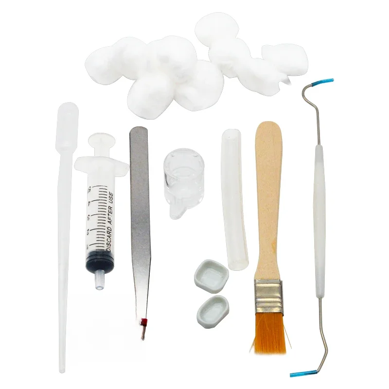 Ensemble d'outils pour novices, ferme de fourmis, avec bol d'eau d'alimentation, pour nid de fourmi, boîte à outils pour animaux de compagnie, canal compte-gouttes, tuyau, fourmis, maison, atelier