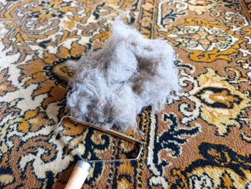 Customer review photo for Manual Pet Hair & Lint Remover Brush