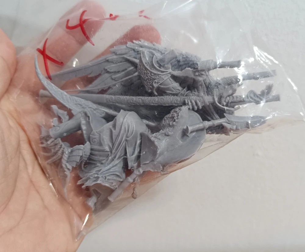 Buyer photo of this resin kit