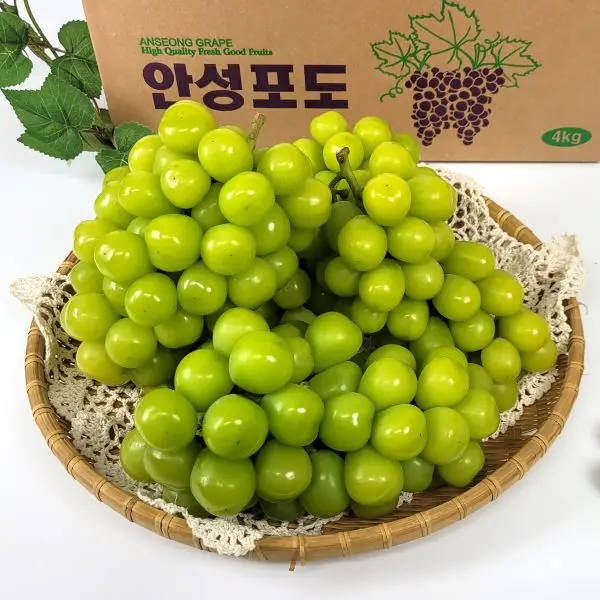 [Hdam] Anseong grape Shyin Musket 2kg (household) Stold High-sugar grape Mango grape production Direct day harvest