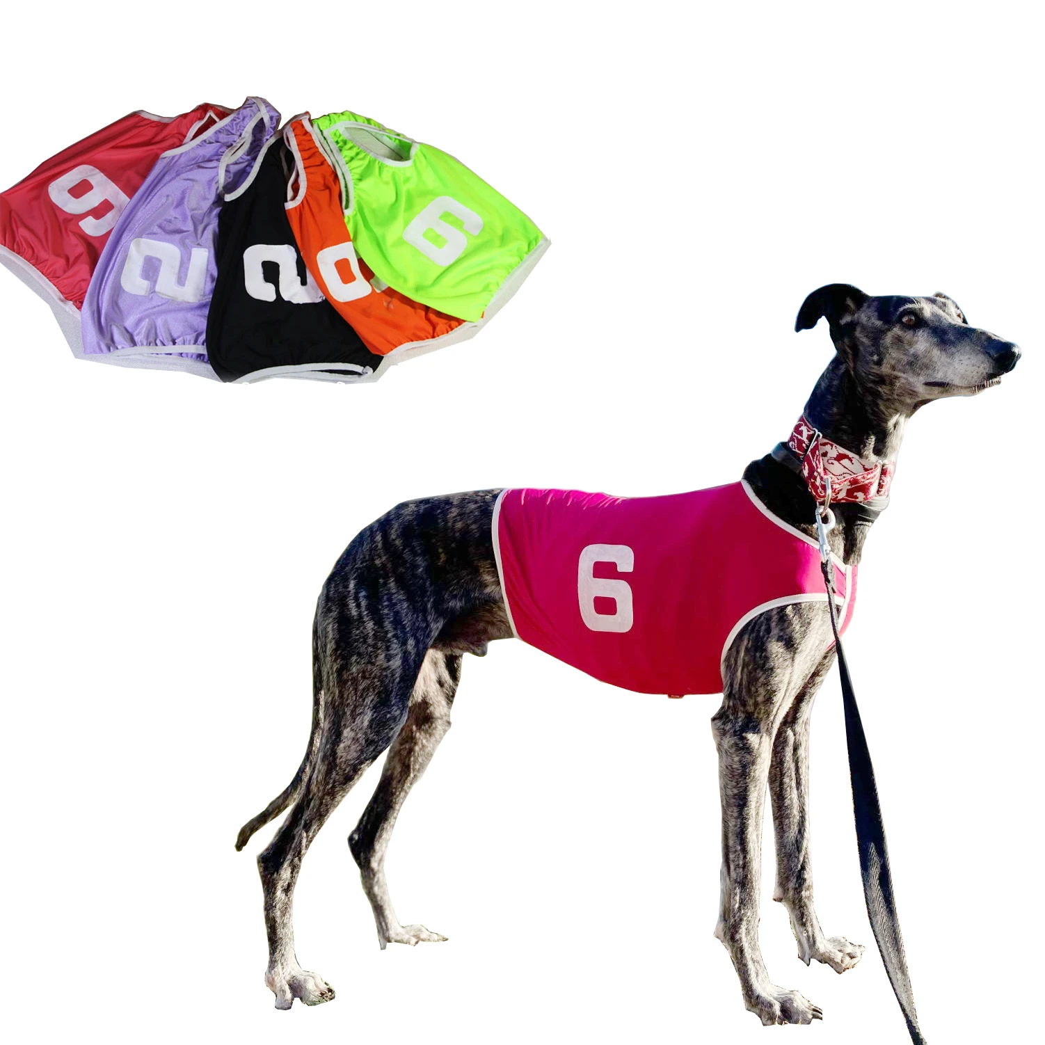 Summer Pet Clothes Dog Vest Jackets Whippet Greyhound Suit Jersey Breathable Pets T-Shirt For Sports Dog