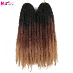 Marley Twist intrecciare i capelli 24 pollici Crochet trecce lunghi Afro crespi capelli sintetici per Twist intrecciare le estensioni dei capelli Expo City