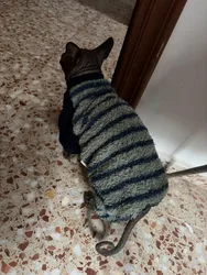 Imagen de reseña 2