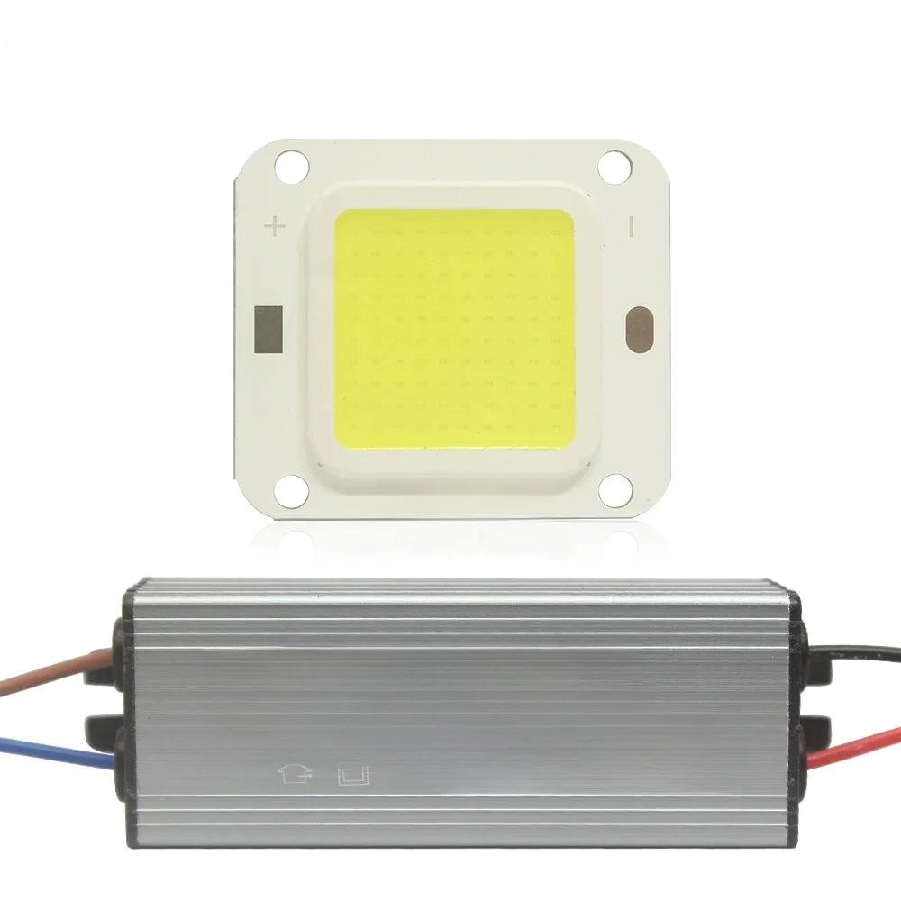 10W 20W 30W 50W 70W 100W High Power LED Perlen 30-36V Chip COB dioden + Fahrer Für DIY Flutlicht Scheinwerfer Lampen Lampen Flip chip