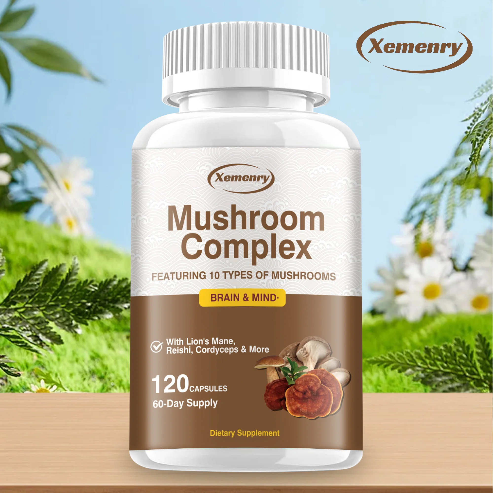 Mushroom Complex Capsules - Support Focus & Brain & Memory Function - Immune & Nervous System Support - 120 Capsules