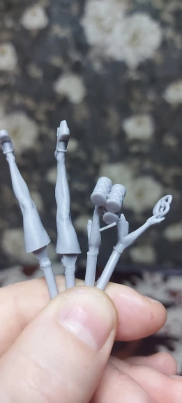 Buyer photo of this resin kit
