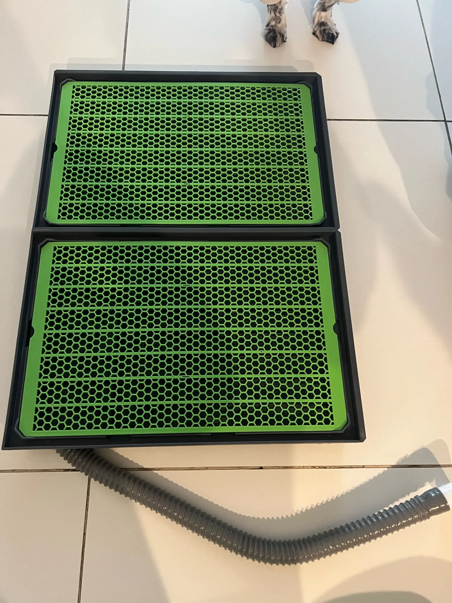 Review image 1