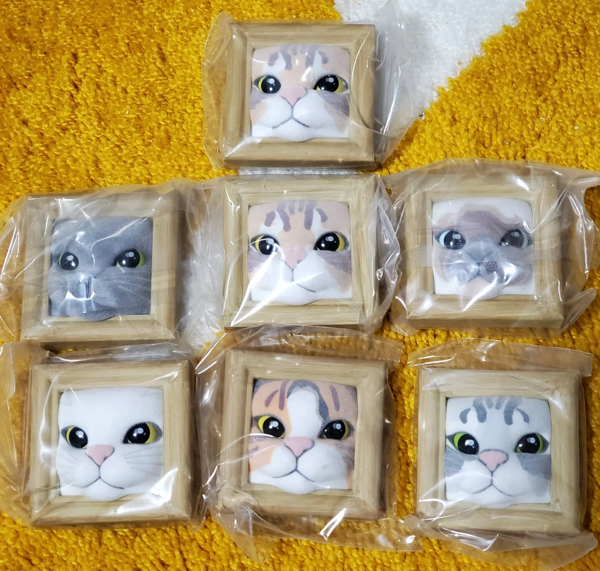 Qualia capsule gashapon toys cute kawaii flocked Russian Blue brown tiger Siamese Sabatra Calico Cat frame easel stand figures