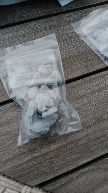 Buyer photo of this resin kit