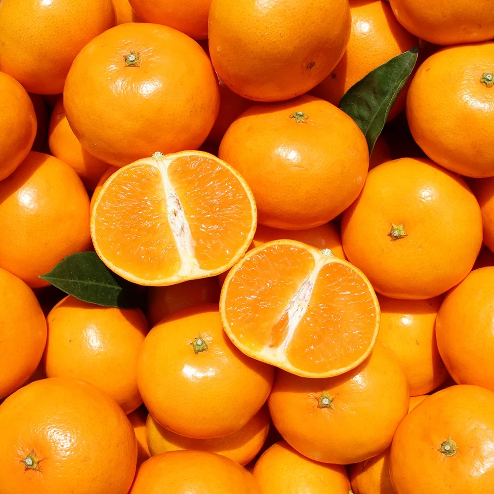 Jeju-do tangerine citrus 1kg,2kg,3kg,4.5kg (heavy/thread weight)