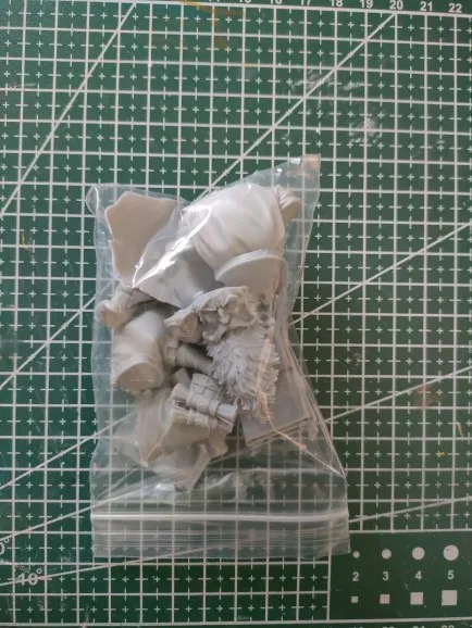 Buyer photo of this resin kit