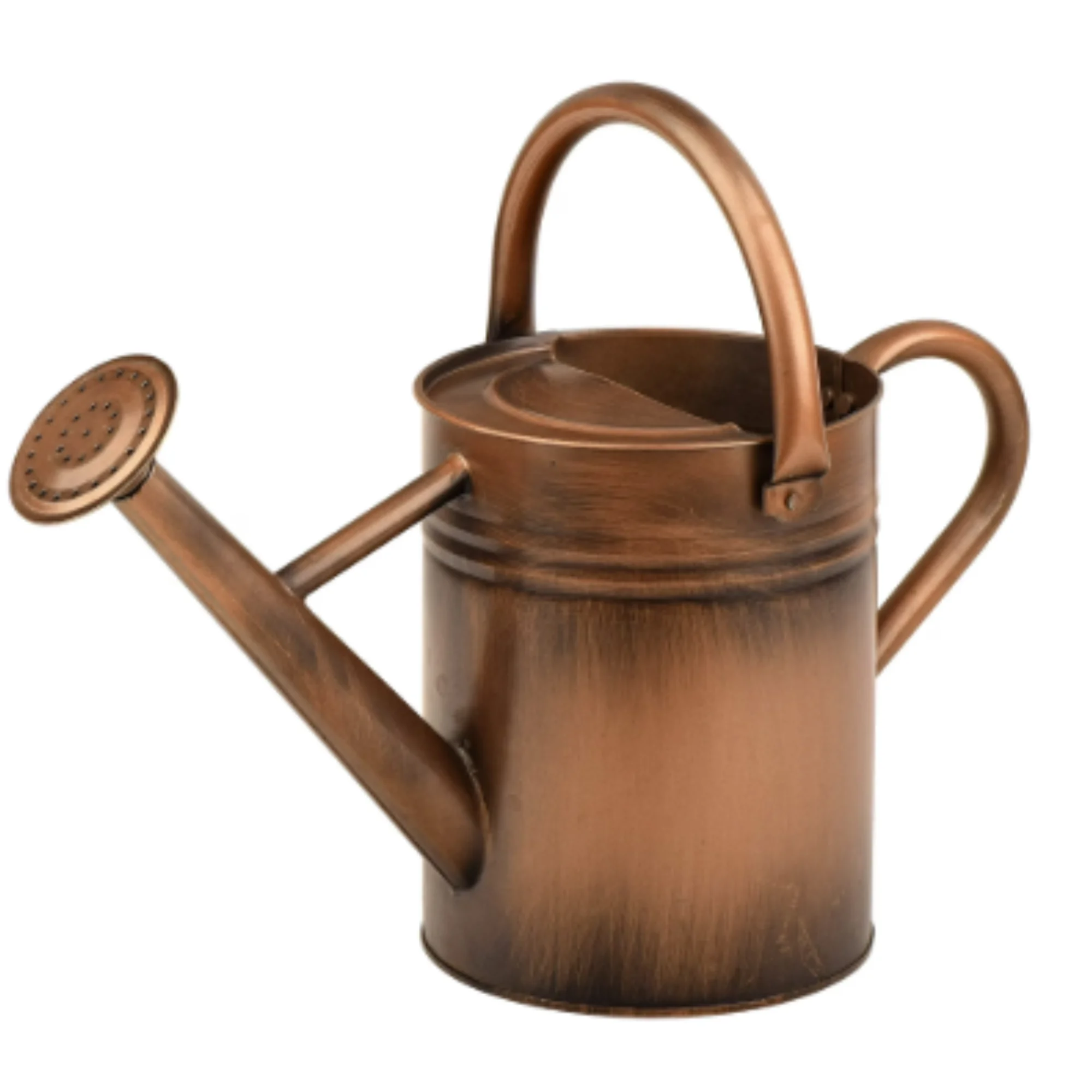 

Metal Plant Watering Can With Removable Spout