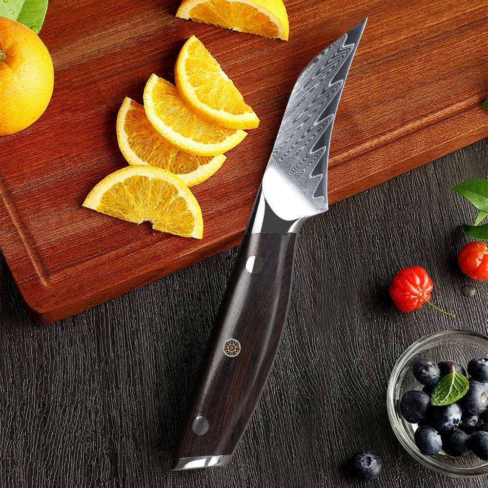 F.YOUNG 3.5 Inch Paring Knife Damascus Steel Chef Knife Sharp Utility Vegetable Peeling Fruit Peeler Utilities Kitchen Tools