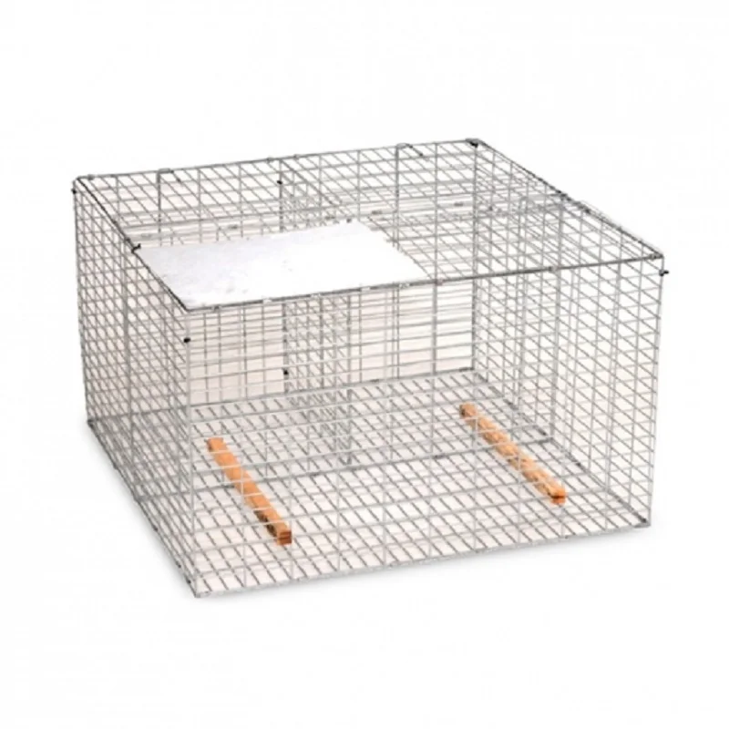 PEST-STOP Larsen cage. Designed to catch corvids, corns and maggots. Firm and durable construction. Rust resistant and reusable. Perfect for capture without death. Easy to use. Easy to Assemble and store.