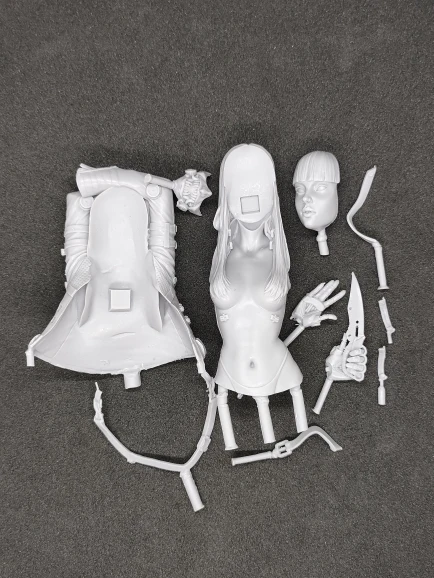 Buyer photo of this resin kit