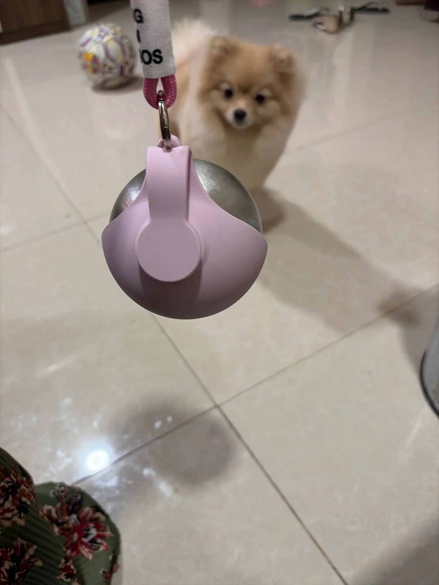 PawSip™ Portable Water Bottle