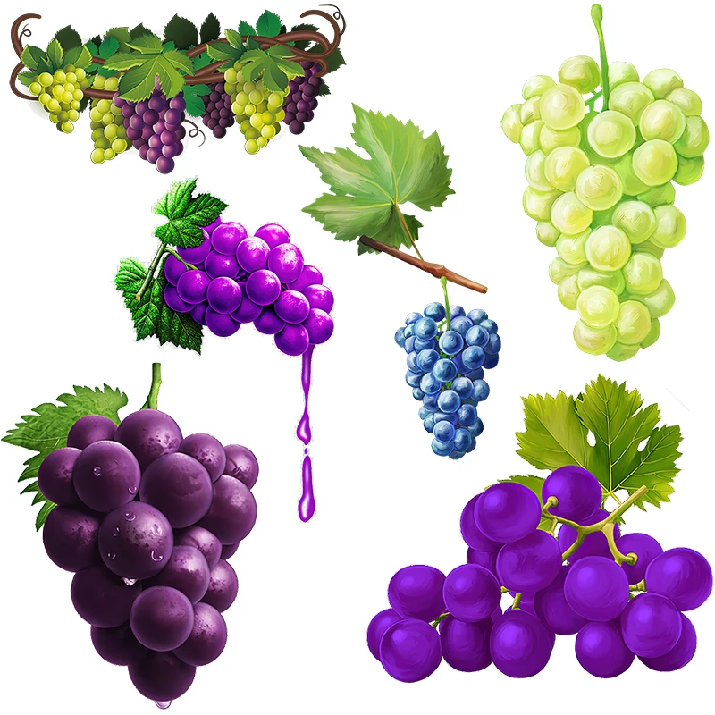 Three Ratels C021 Leisure Pastoral Fruit Cute Grape wall sticker for home Decorative Toilet Decal Self pasting