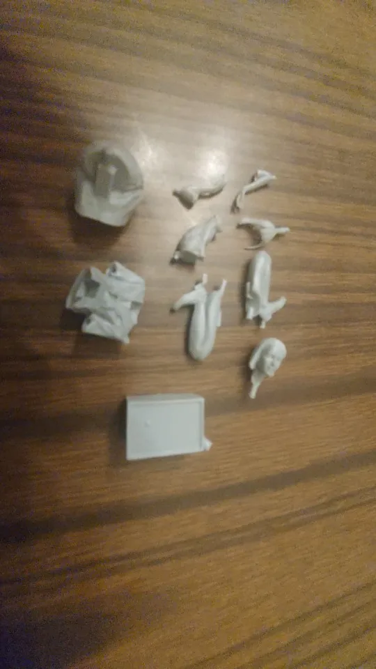 Buyer photo of this resin kit