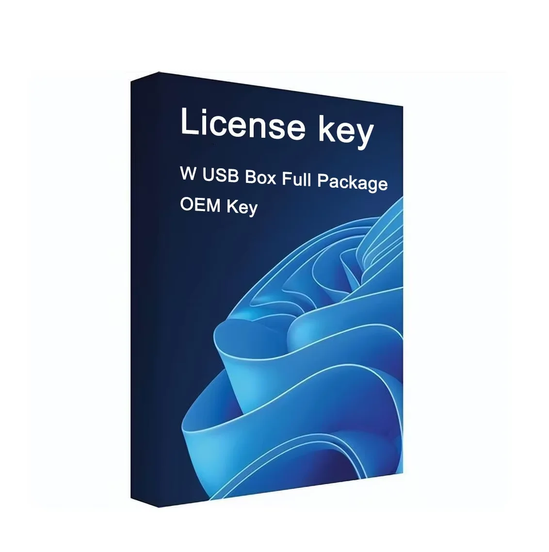 W USB-Box Komplettpaket mit OEM-Schlüssel