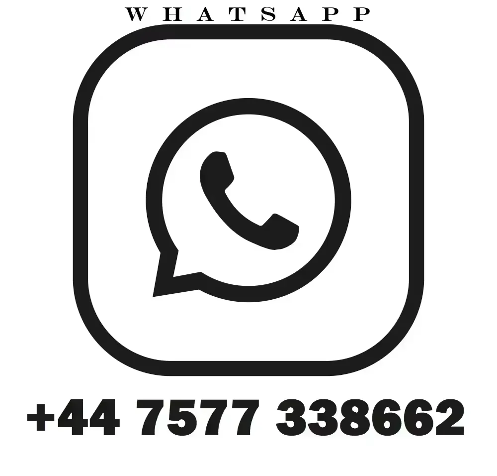 يحتوي Arctic Leopard XE Pro S الجديد على فرقعة عالية لتعبئة باك في بطارية 72 فولت 55 أمبير أكبر في الفصل مع 20 كيلو وات (27 حصان)