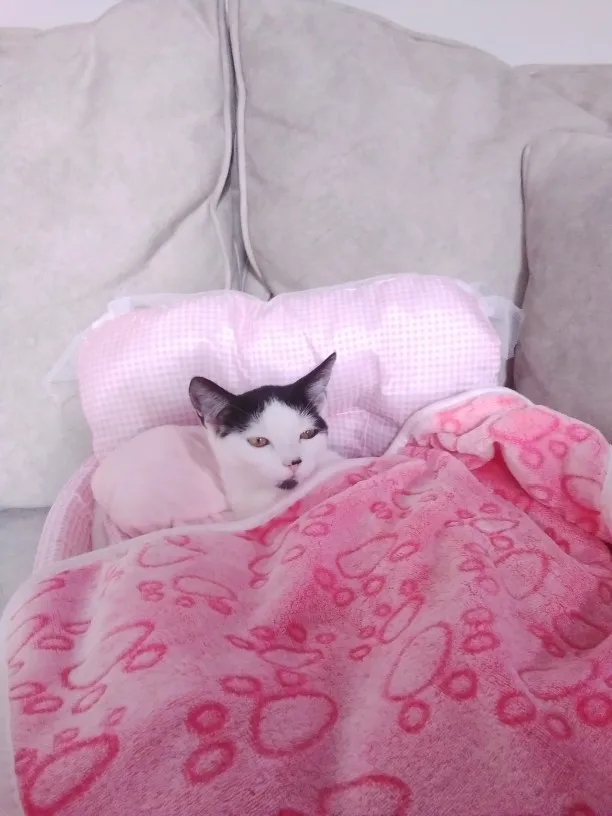 구매후기