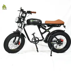 Super Long Range Fat Tire Chopper Electric Bike, City Electric Bicycle, Mountain Road E-Bike, 73 RX, 48V, 500W, 750W1000W, New