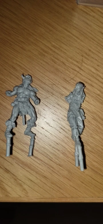 Buyer photo of this resin kit