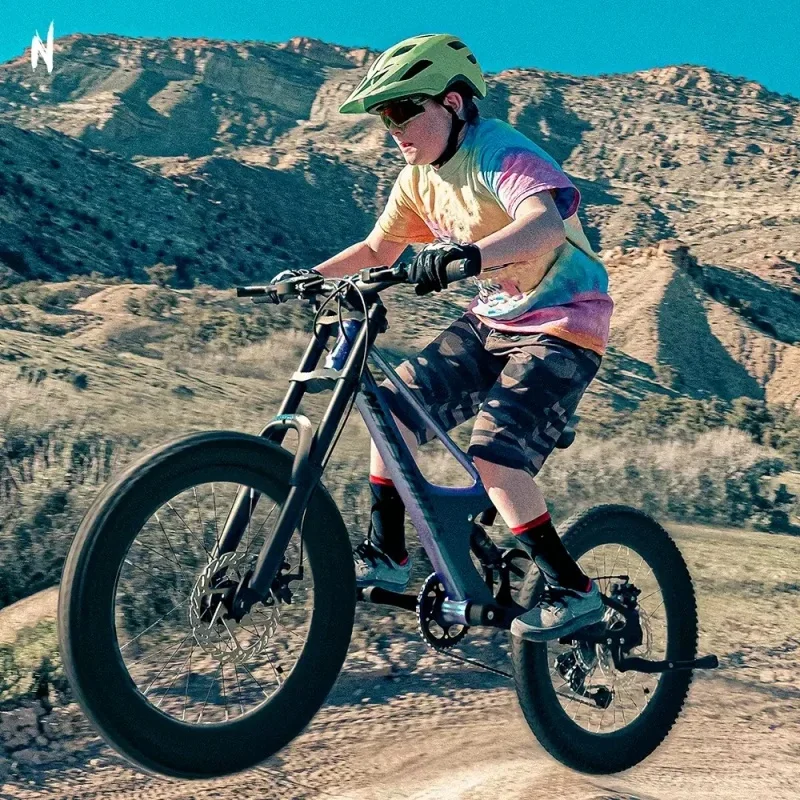 AliExpress 22inch Soft Tail MTB Bike DH  Mountain Bicycle Magnesium Alloy 7 Speed Frame Disc Brake Double Suspension Front Fork