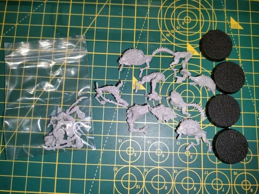 Buyer photo of this resin kit