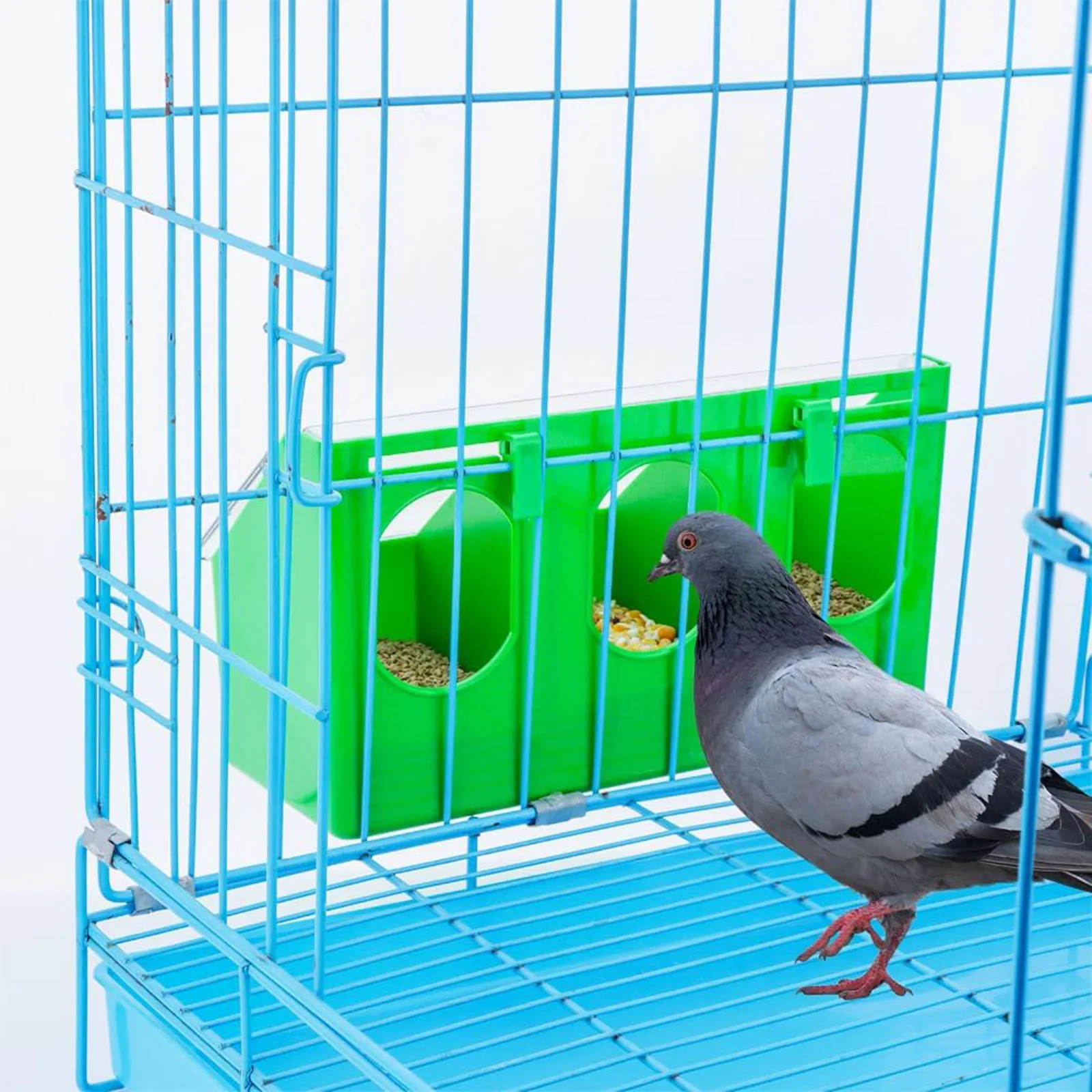 Thumbnail 2 - #80 Best Bird Supplies to Buy In 2026