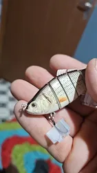 Imagen de reseña 4