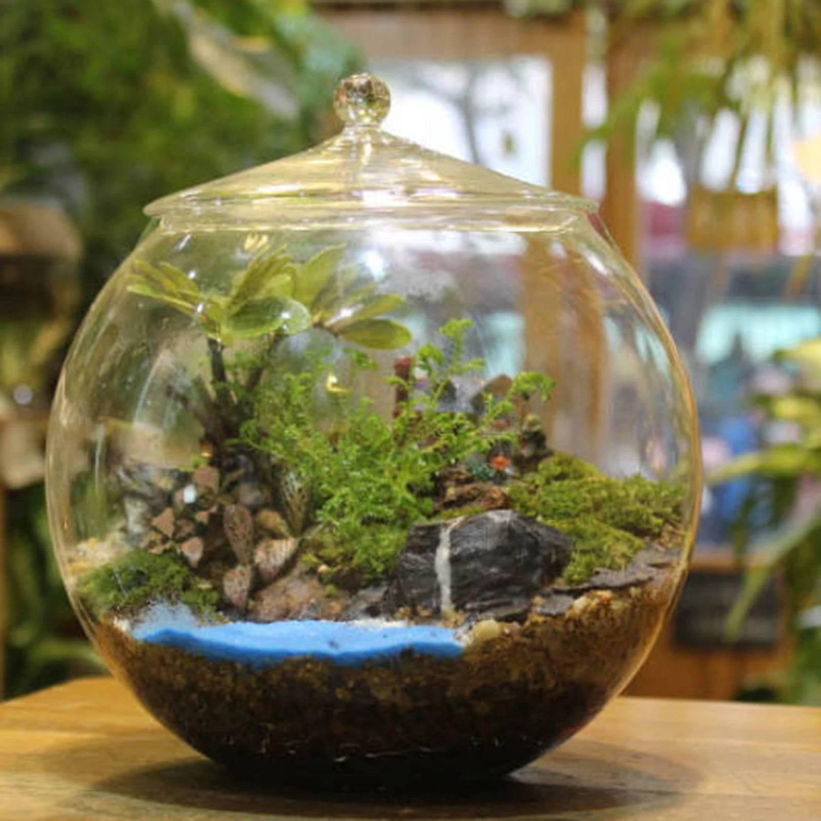Glass Terrarium Jar…