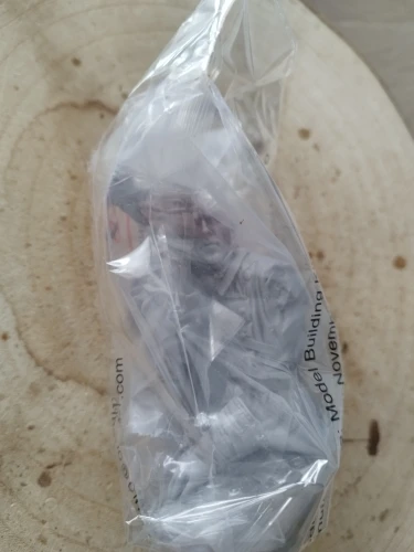 Buyer photo of this resin kit