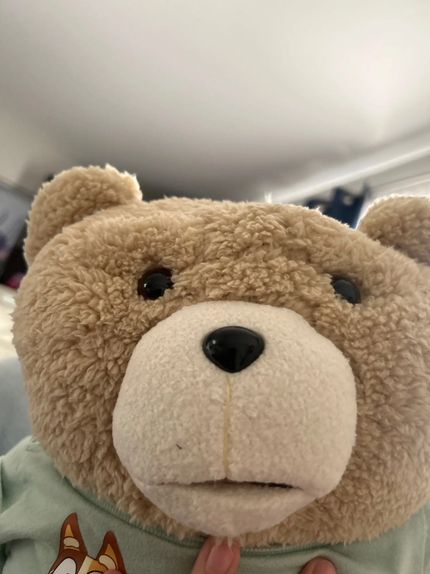 46cm Teddy Bear Ted 2 Plush Toys photo review