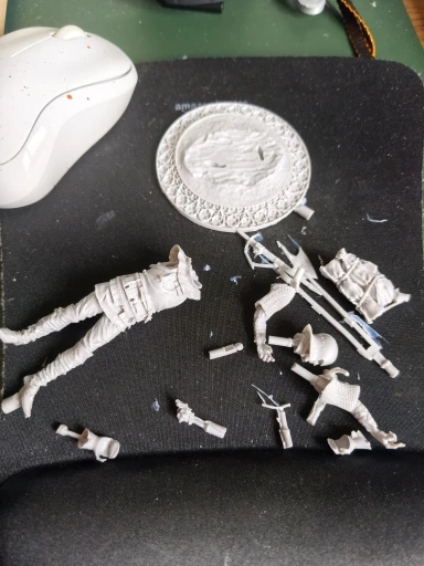 Buyer photo of this resin kit